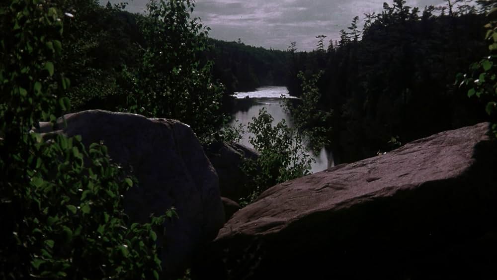 新・ウィークエンドの画像