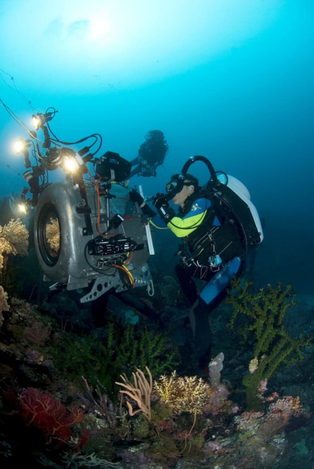 ブルーオアシスIII 3Dの画像