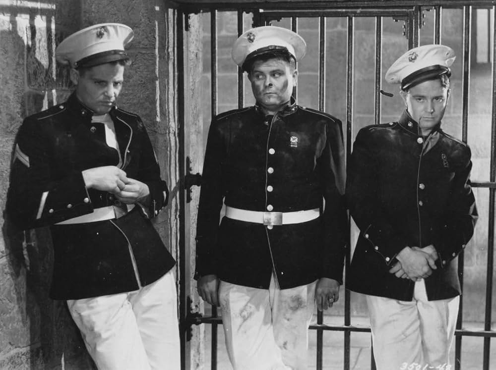 嵐の戦捷旗の画像