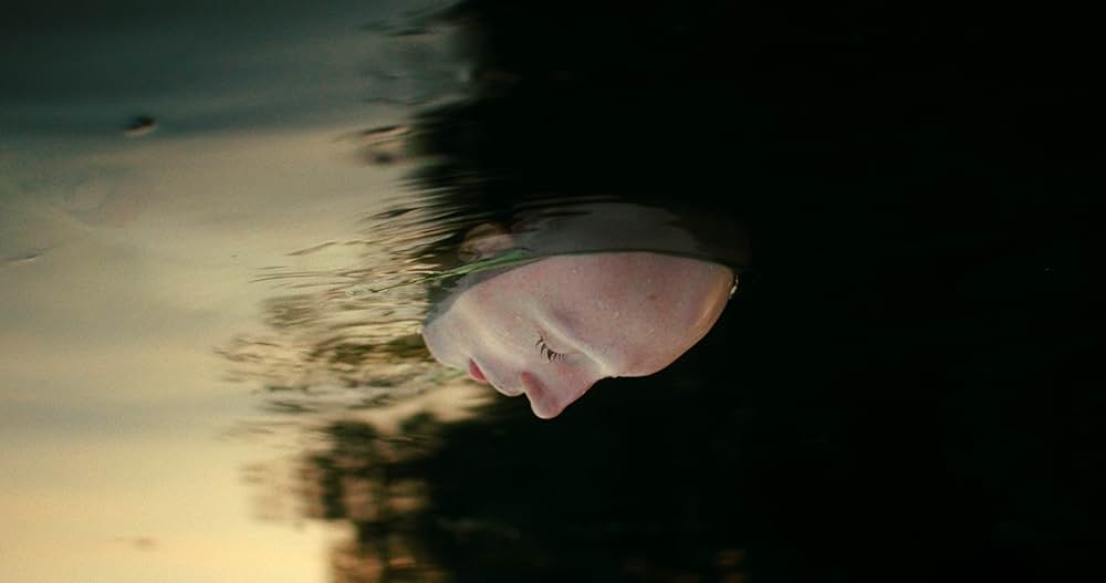 クイーンダム／誕生の画像