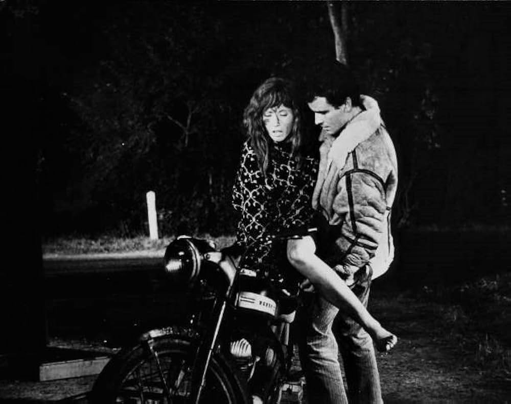 ある日アンヌはの画像