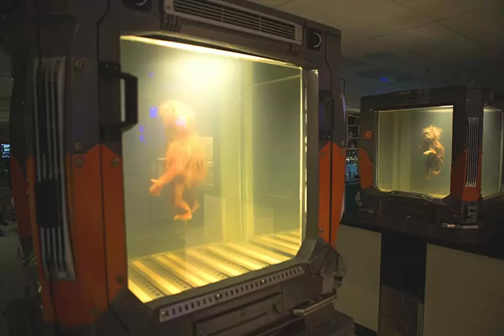 レプリカズの画像