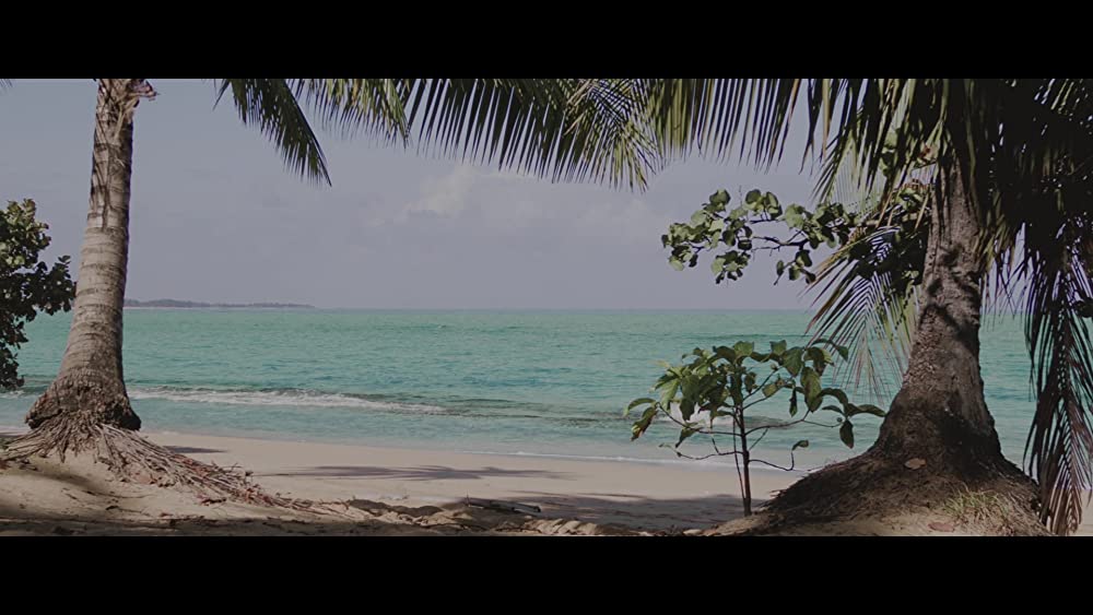 レプリカズの画像