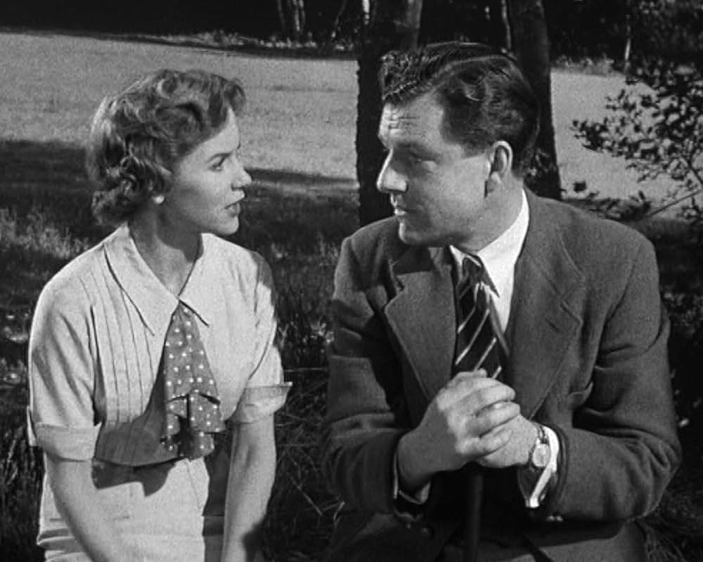 殴り込み戦闘機隊の画像