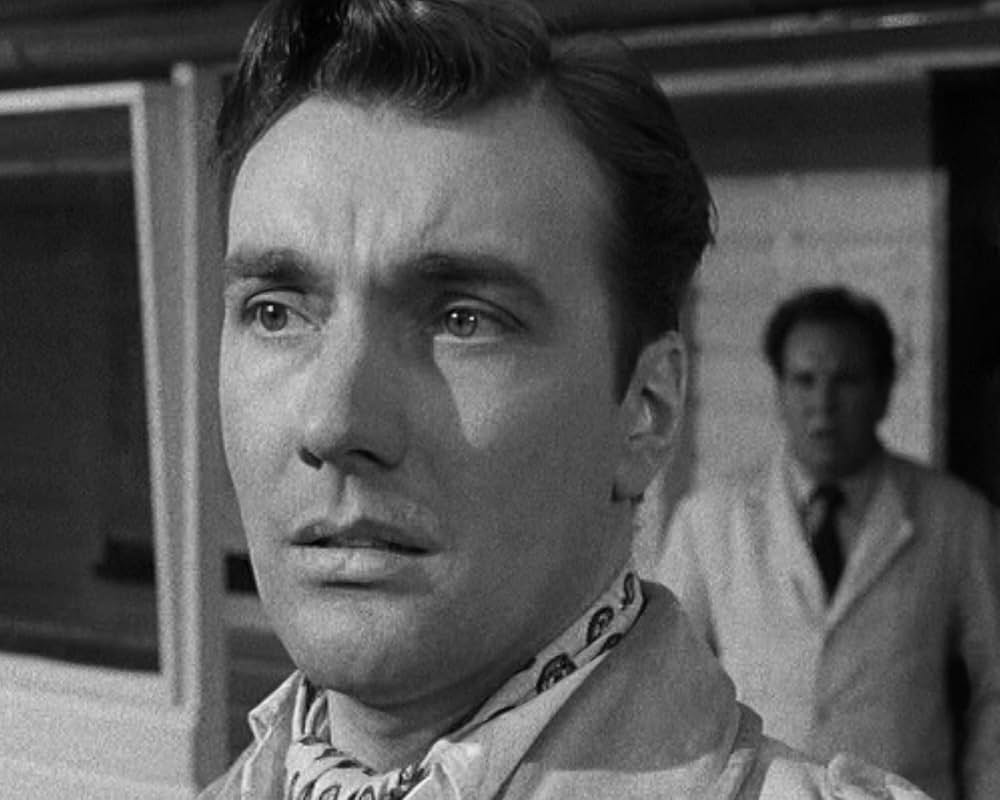 殴り込み戦闘機隊の画像