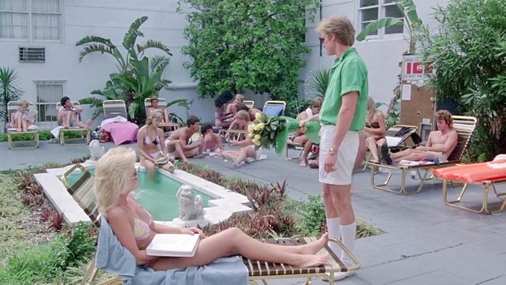 ボーイハントの画像