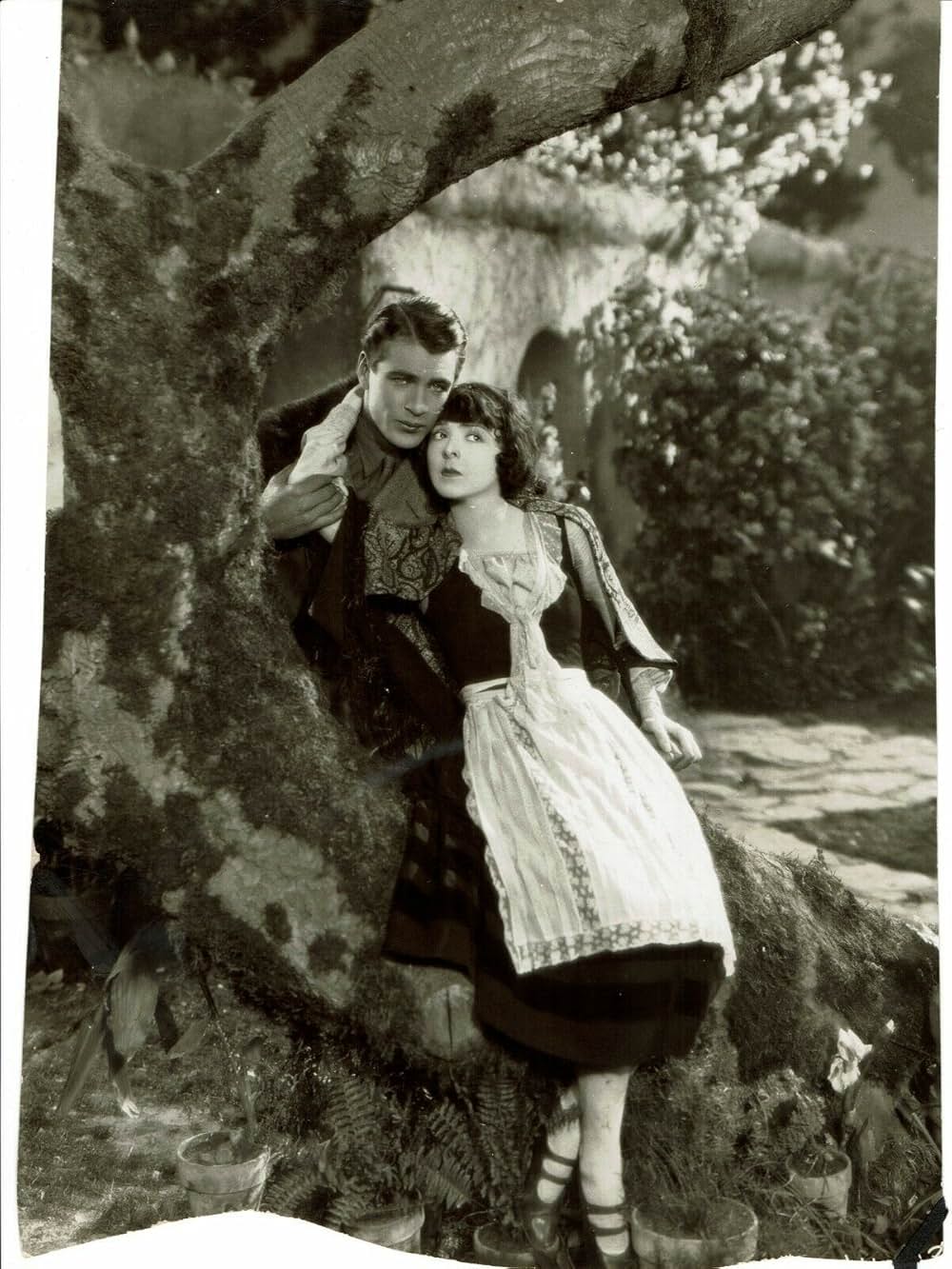 ライラック・タイムの画像