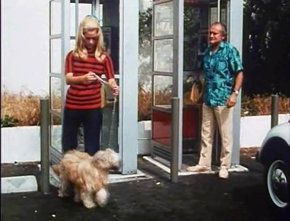 エロチカル・アフリカ／ジャングル・エロティックの画像