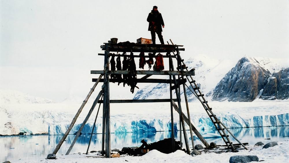 野良犬たちの画像