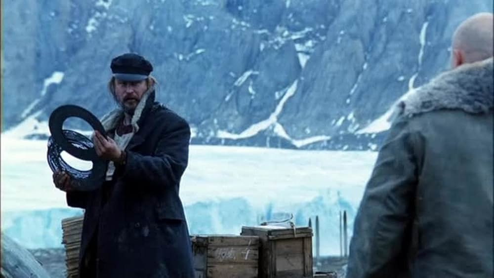 野良犬たちの画像