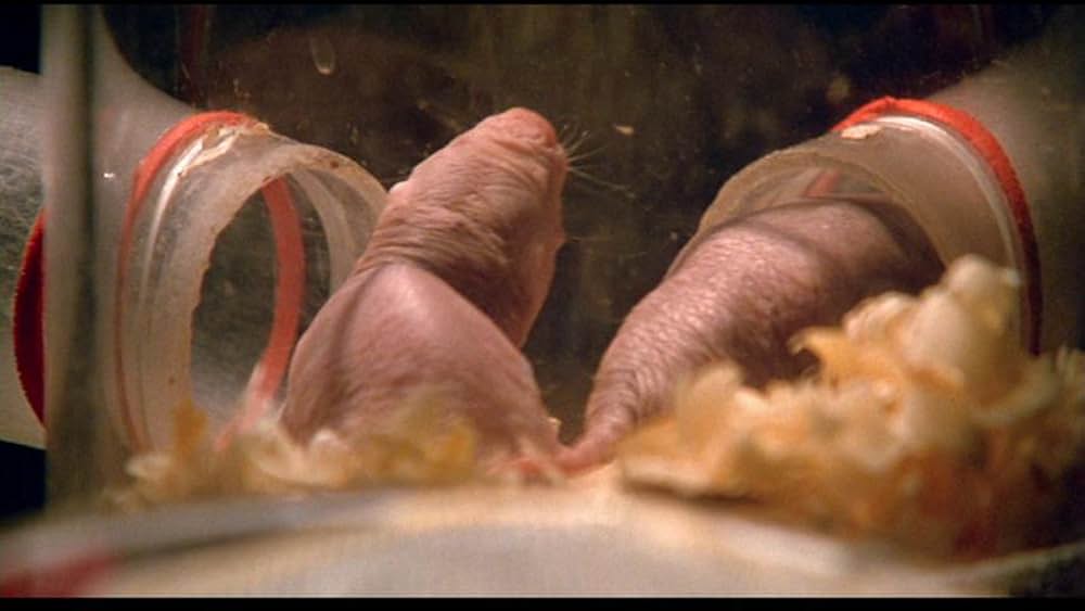 Fast, Cheap & Out of Control（原題）の画像