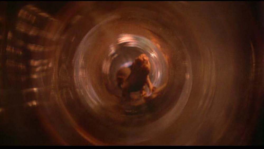 Fast, Cheap & Out of Control（原題）の画像