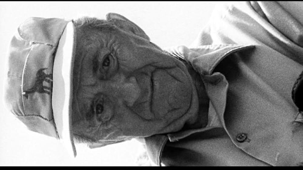 Fast, Cheap & Out of Control（原題）の画像