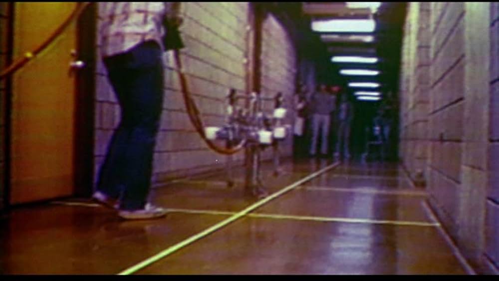 Fast, Cheap & Out of Control（原題）の画像