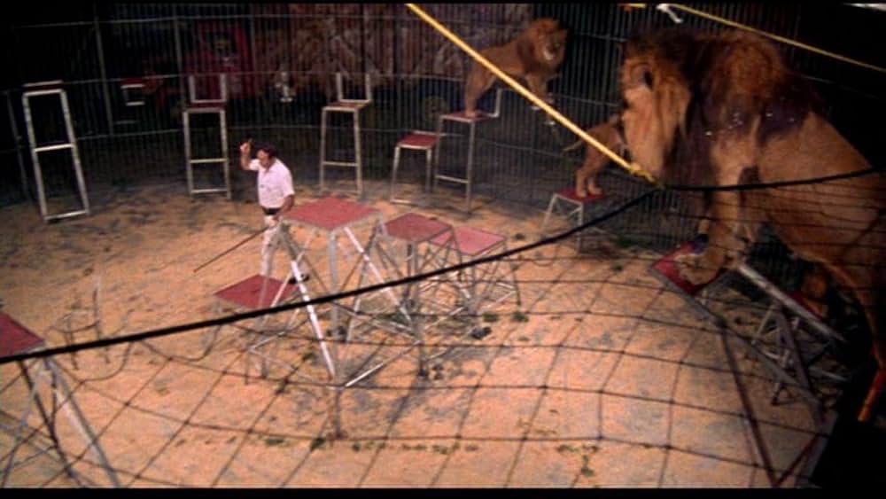 Fast, Cheap & Out of Control（原題）の画像