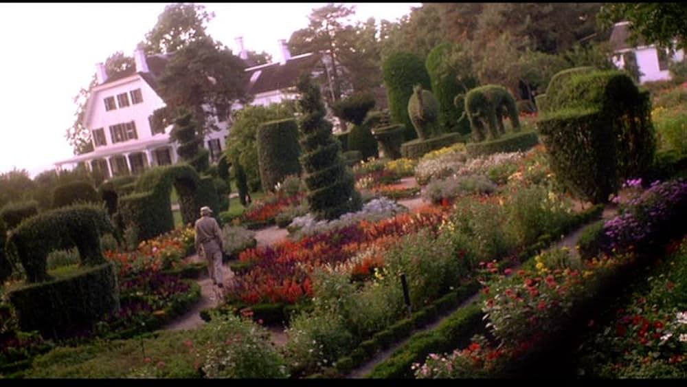 Fast, Cheap & Out of Control（原題）の画像