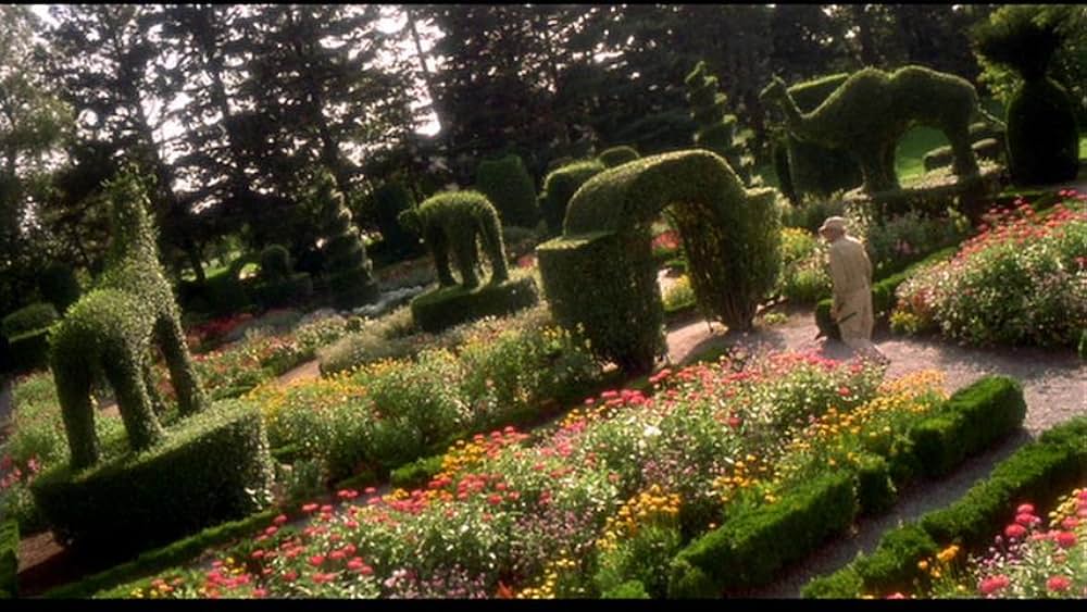 Fast, Cheap & Out of Control（原題）の画像