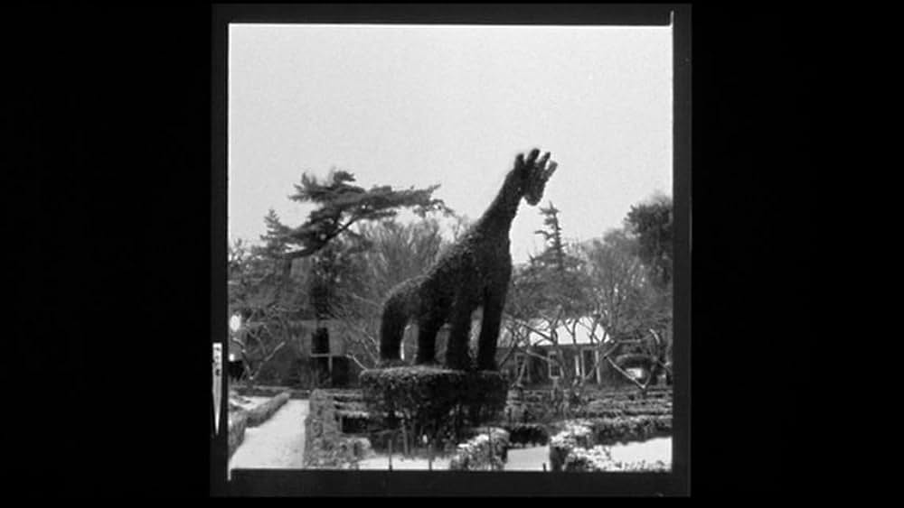 Fast, Cheap & Out of Control（原題）の画像