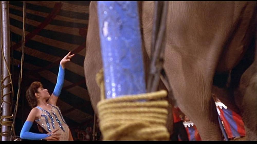 Fast, Cheap & Out of Control（原題）の画像