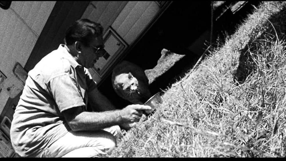 Fast, Cheap & Out of Control（原題）の画像