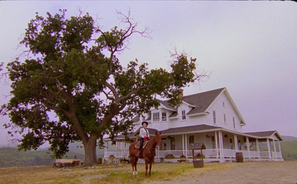 The Nowhere Inn（原題）の画像