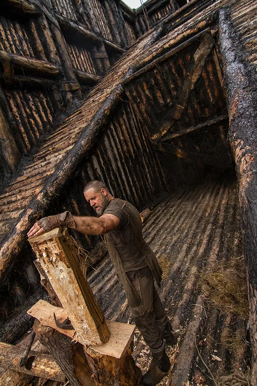 ノア 約束の舟の画像