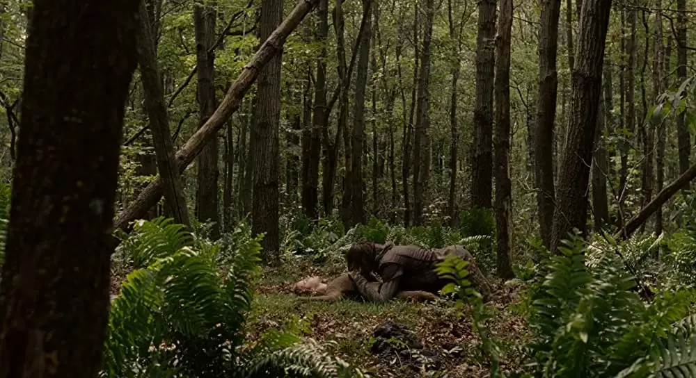 ノア 約束の舟の画像