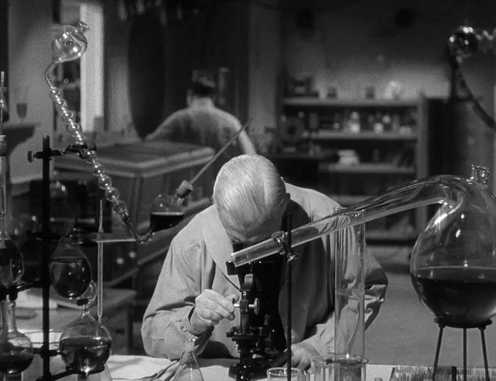 電気人間の画像