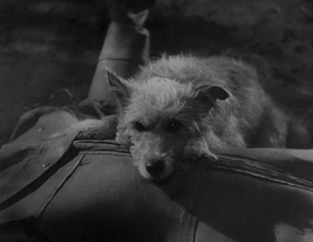 電気人間の画像