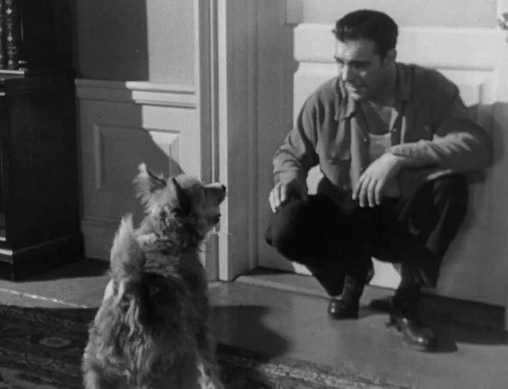 電気人間の画像