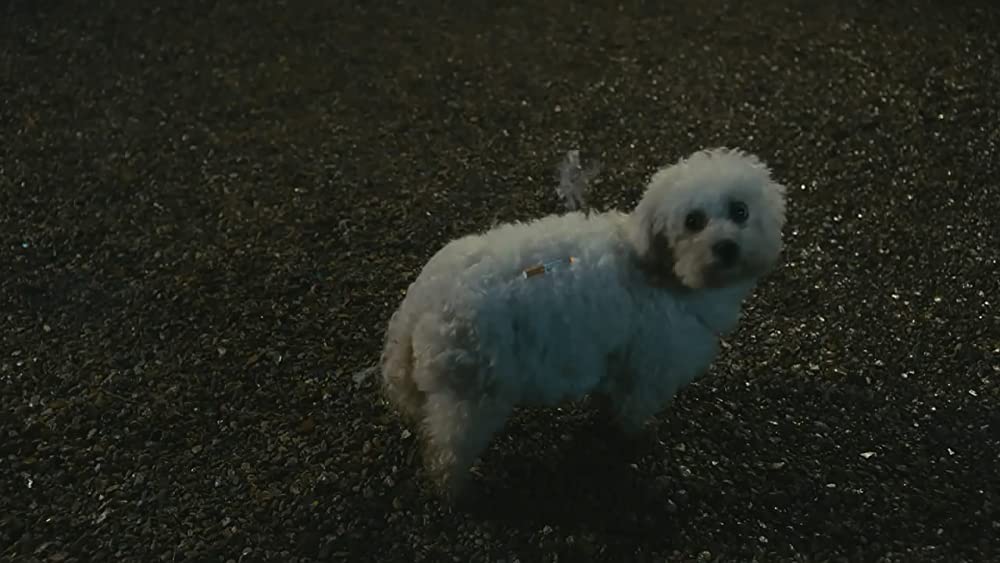 「アリバイ・ドット・コム カンヌの不倫旅行がヒャッハー！な大騒動になった件」ナタリー・バイ & エロディ・フォンタン & フィリップ・ラショーの画像