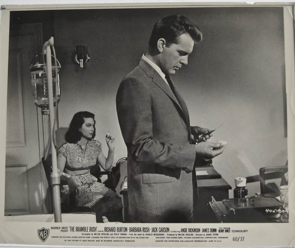 許されざる愛情の画像