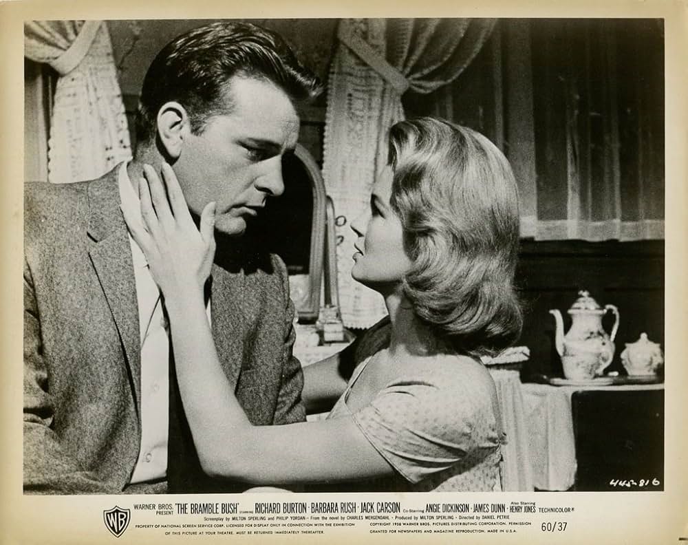 許されざる愛情の画像