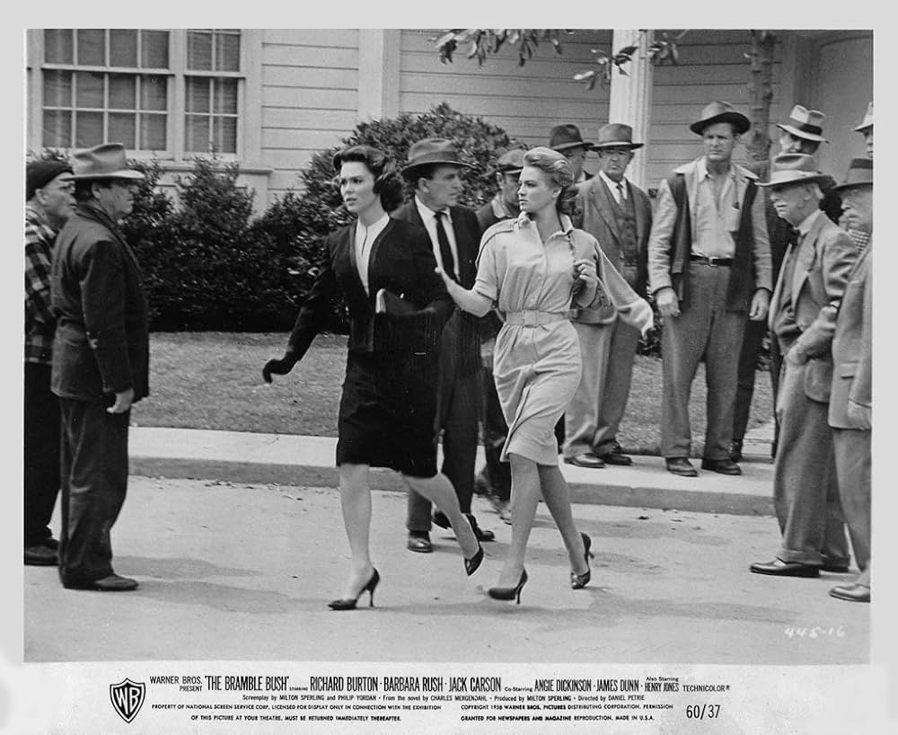 許されざる愛情の画像