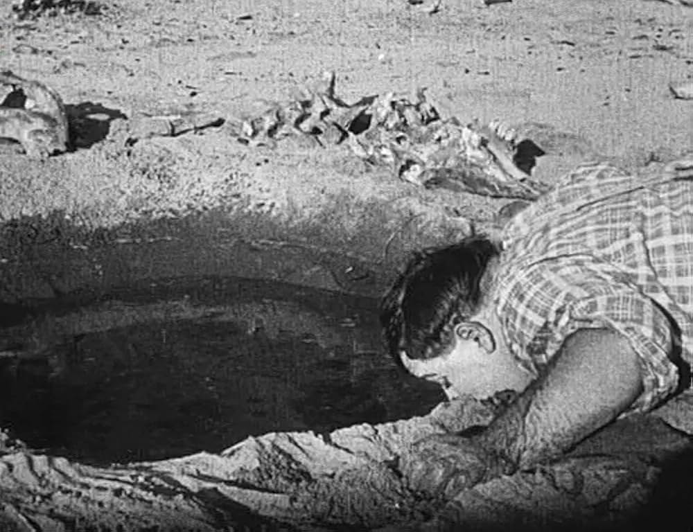 ファッティとキートンのアウト・ウェストの画像