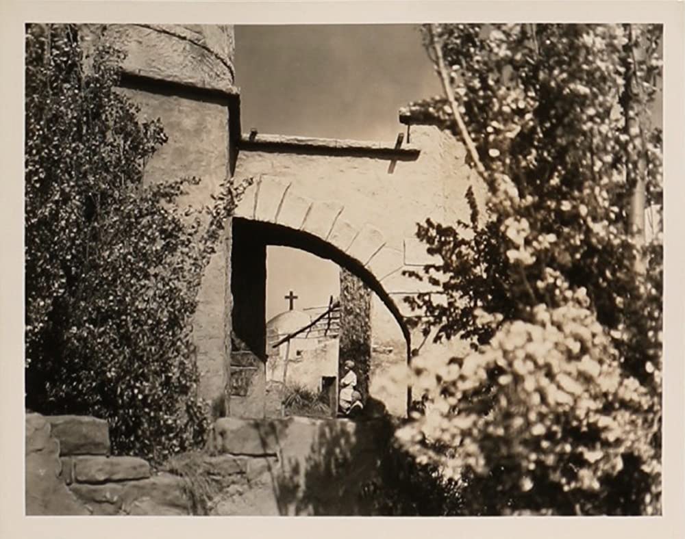 悪魔の踊子の画像