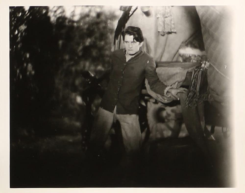 悪魔の踊子の画像