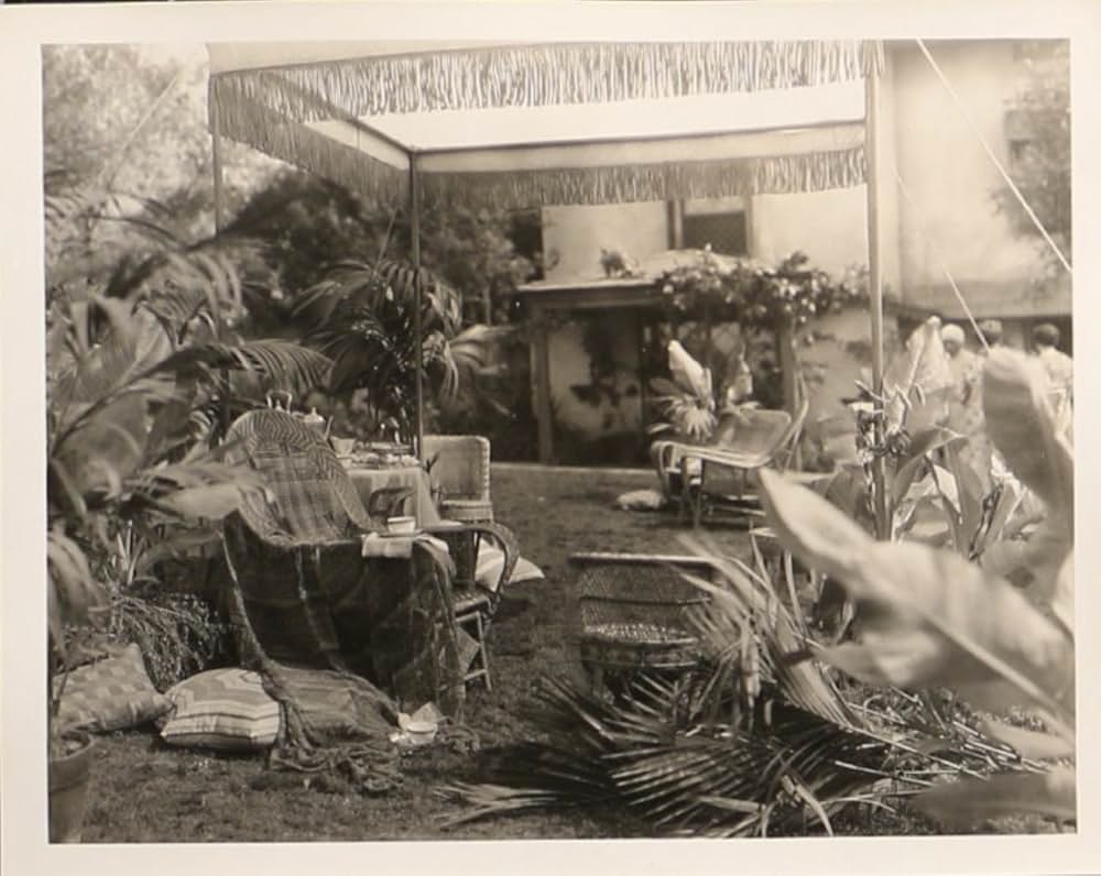 悪魔の踊子の画像