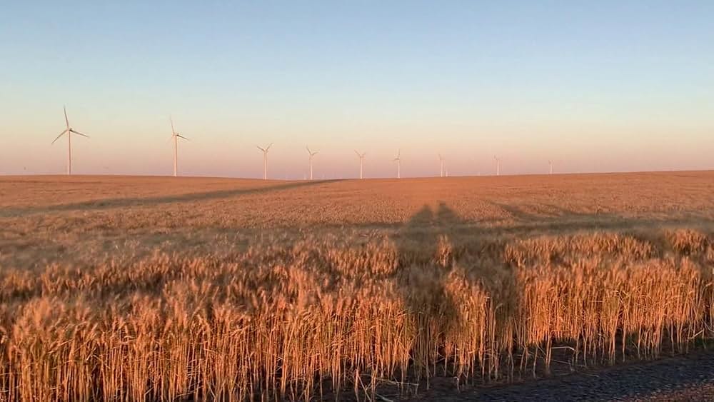 Gasoline Rainbow（原題）の画像