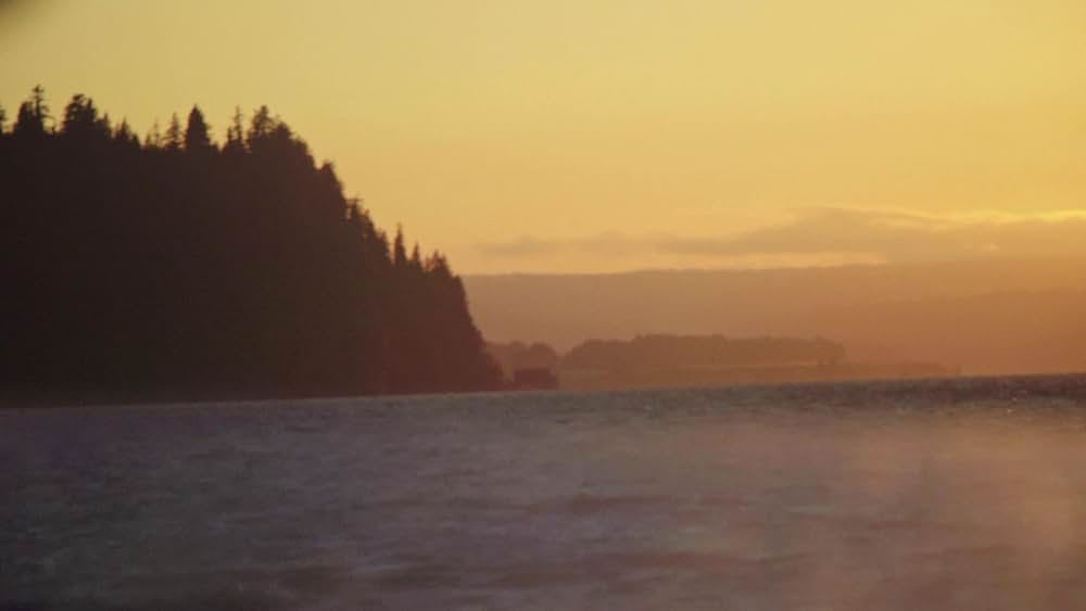 Gasoline Rainbow（原題）の画像