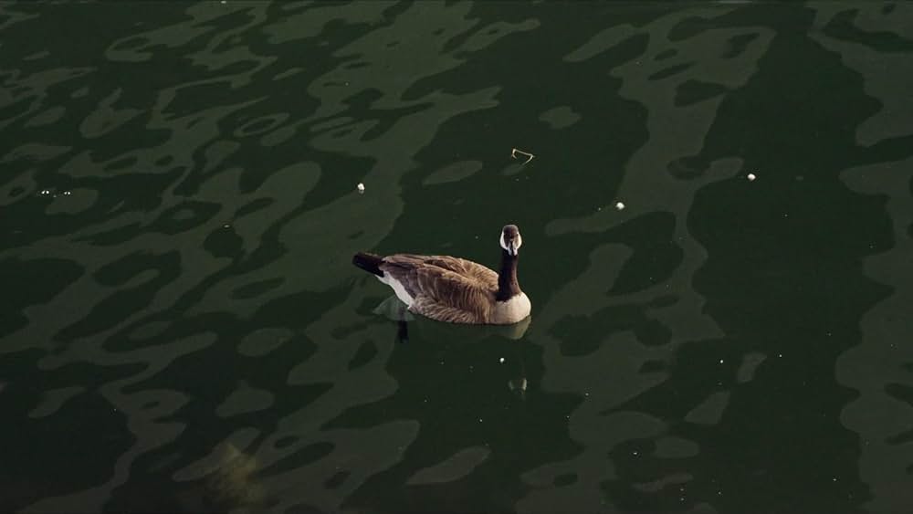 Gasoline Rainbow（原題）の画像