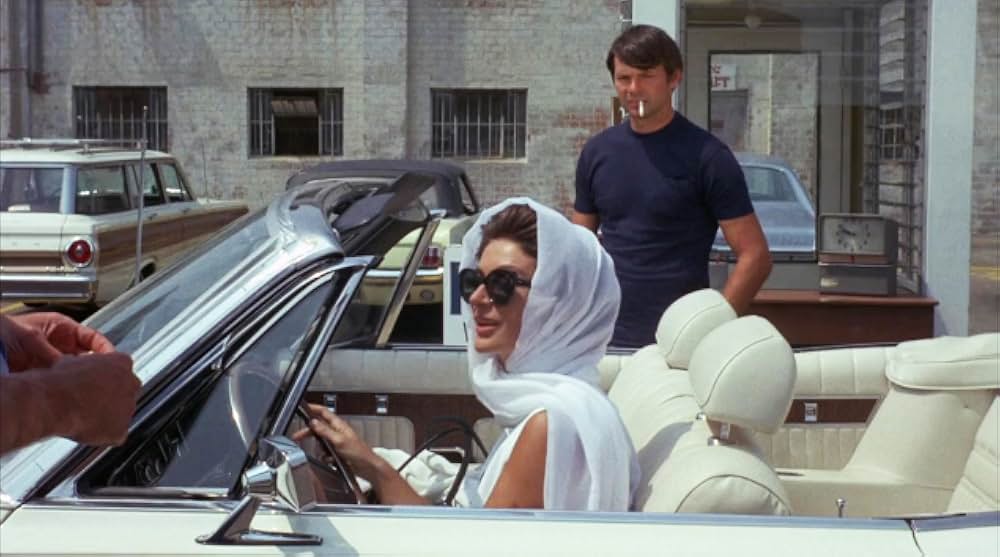 モデル・ショップの画像