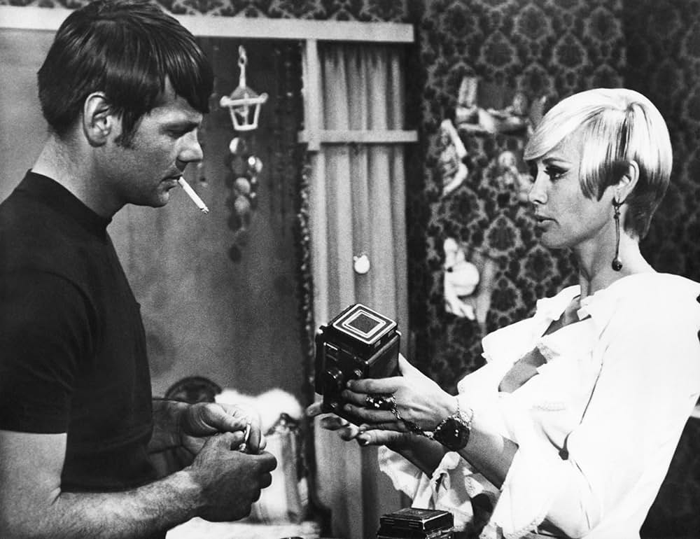 モデル・ショップの画像