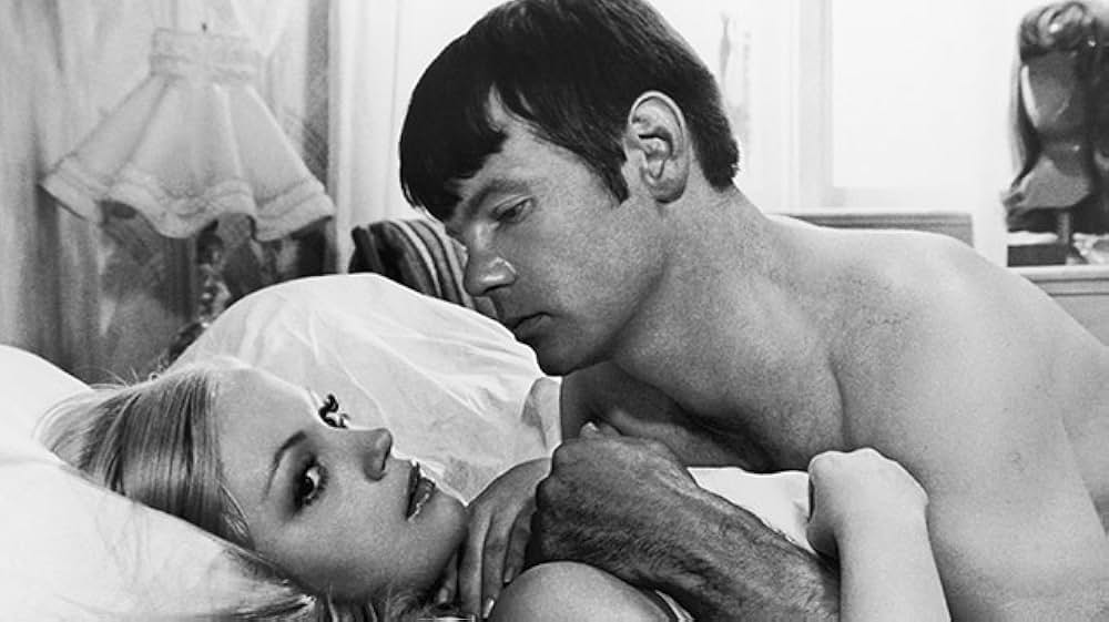 モデル・ショップの画像