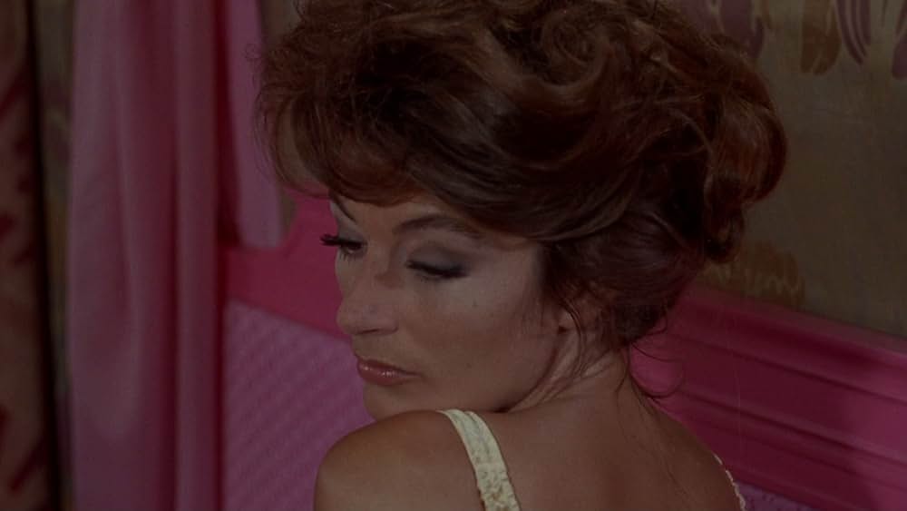 モデル・ショップの画像