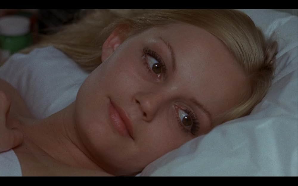 モデル・ショップの画像