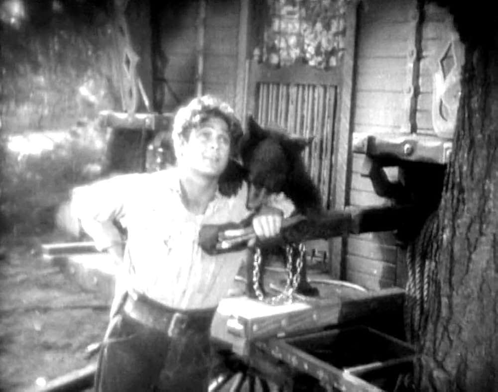 街の天使の画像