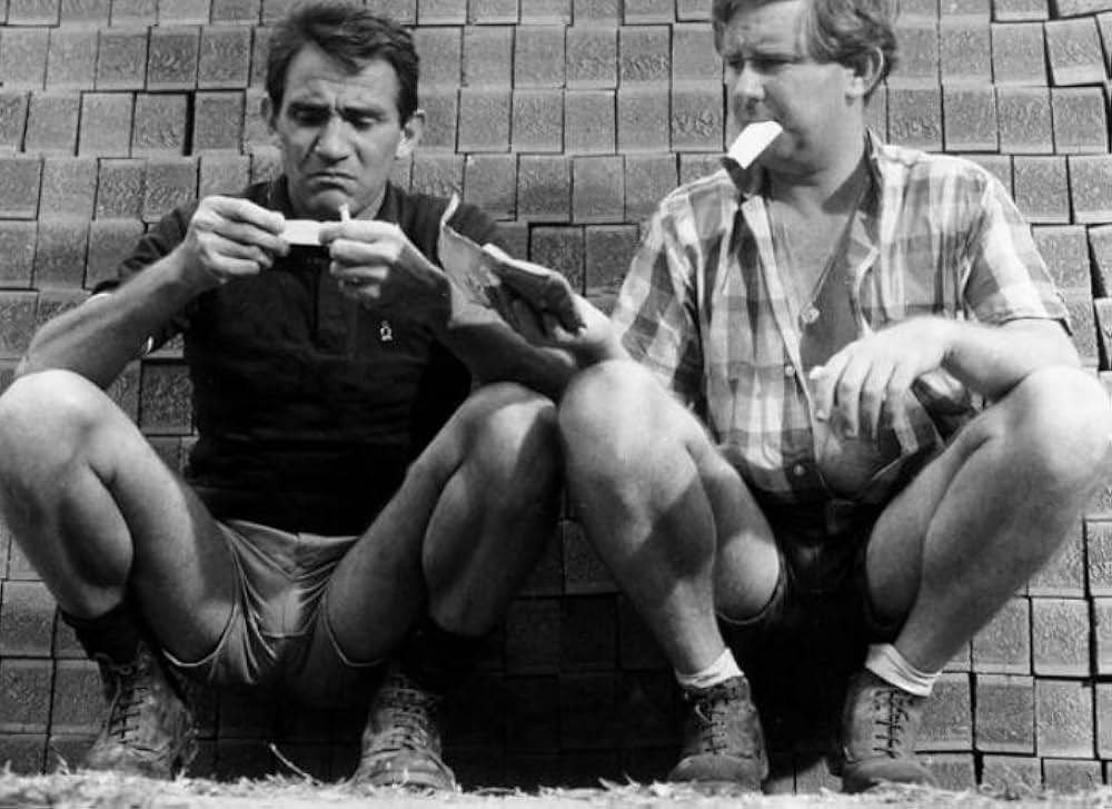 They're a weird mob（原題）の画像