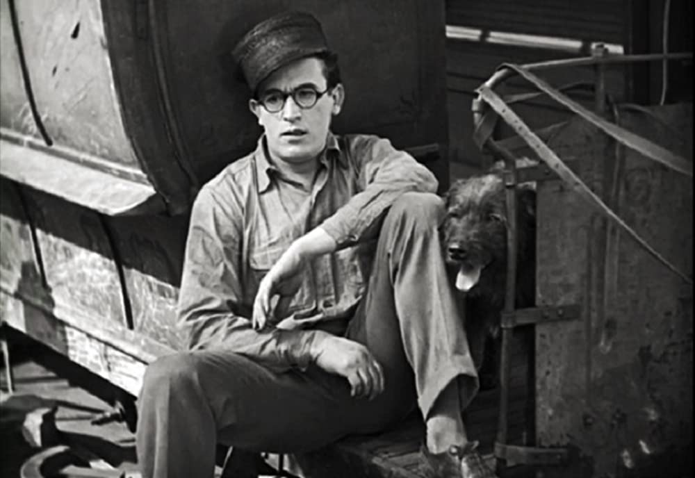 ロイドのスピーディーの画像