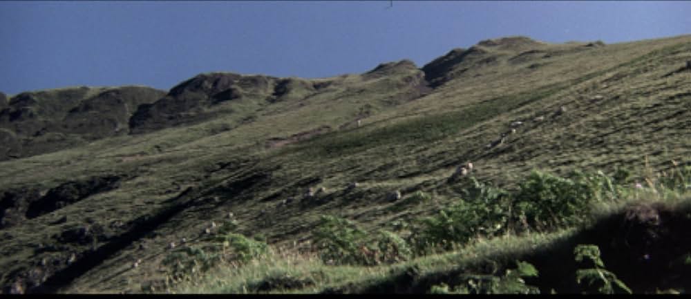 The Ballad of Tam Lin（原題）の画像